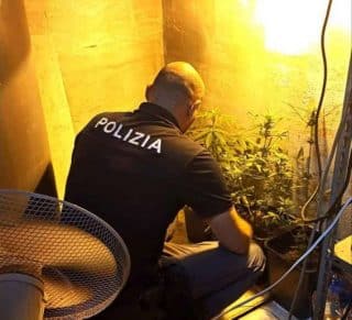 cannabis polizia